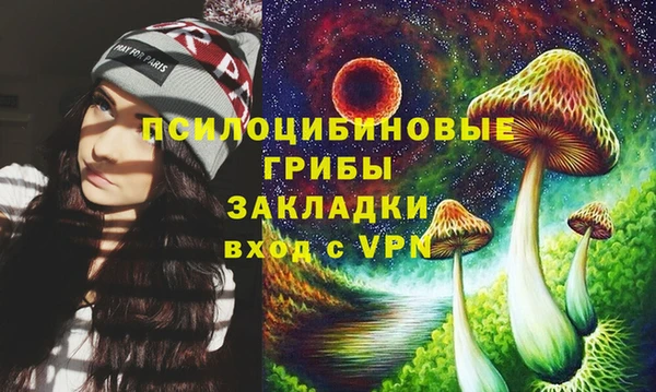 гашиш Дмитров