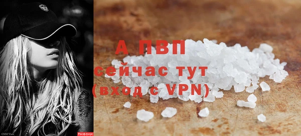 прущие крисы Горняк